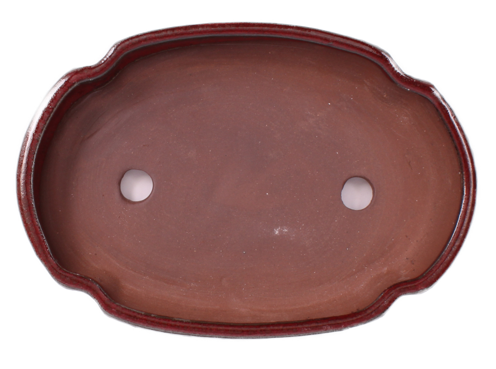 Bonsai - Schale, Waldschale, oval 21.5 x 14.5 x 3.8 cm bordeaux  51347
