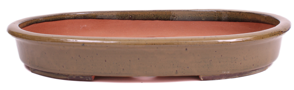 Bonsai - Schale, Waldschale, oval 55 x 42 x 8 cm hellbraun frostfest  51373