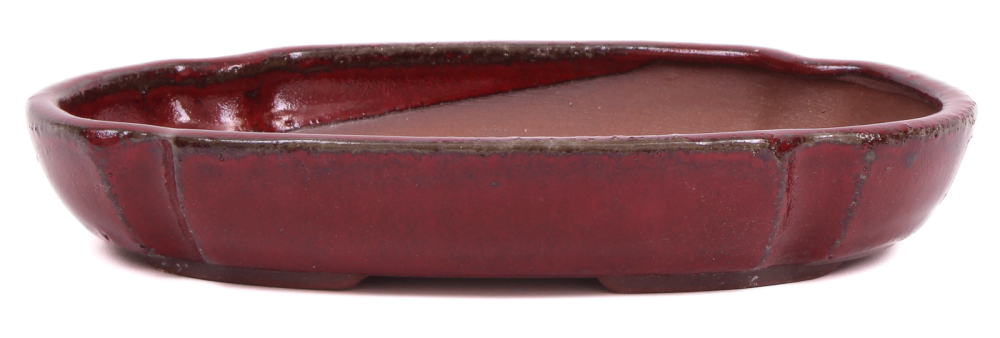 Bonsai - Schale Waldschale oval 21 x 14.5 x 4 cm bordeaux 51378