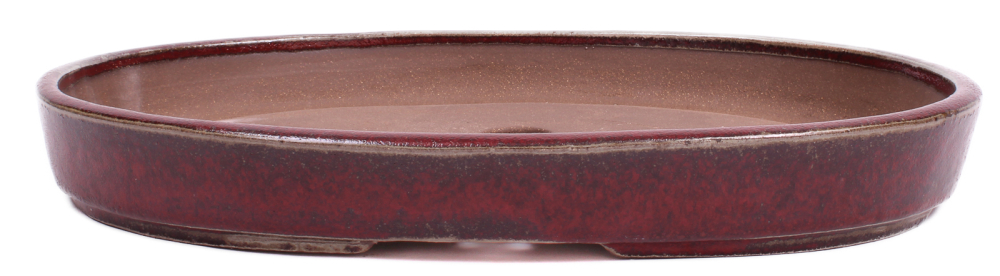 Bonsai - Schale Waldschale oval 37 x 26.5 x 5 cm bordeaux frostfest  51380