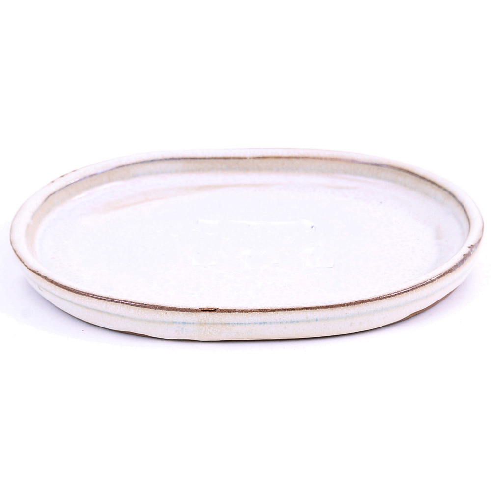 Bonsai - Untersetzer oval 17 x 13 cm, creme  54341