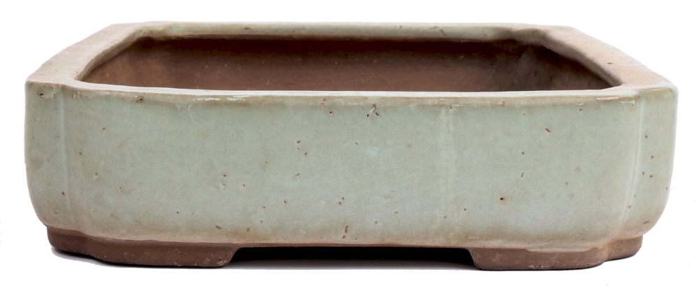 Tokoname Bonsaischale von Yoshimura - 42 x 30 x 7,7 cm - eckig - graugrün - 58010