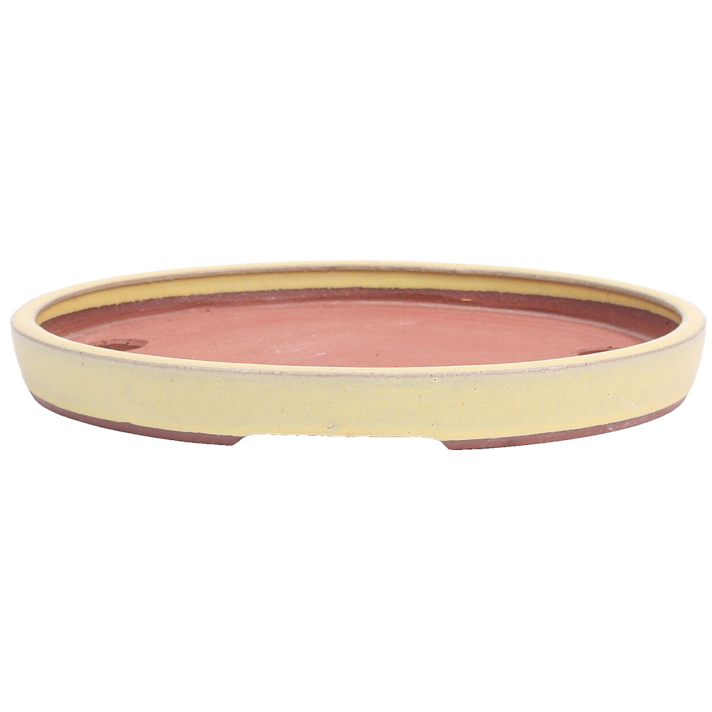 Tokoname Bonsaischale von Youzan - 27,5 x 22 x 3,3 cm - oval - matt gelb - 58100