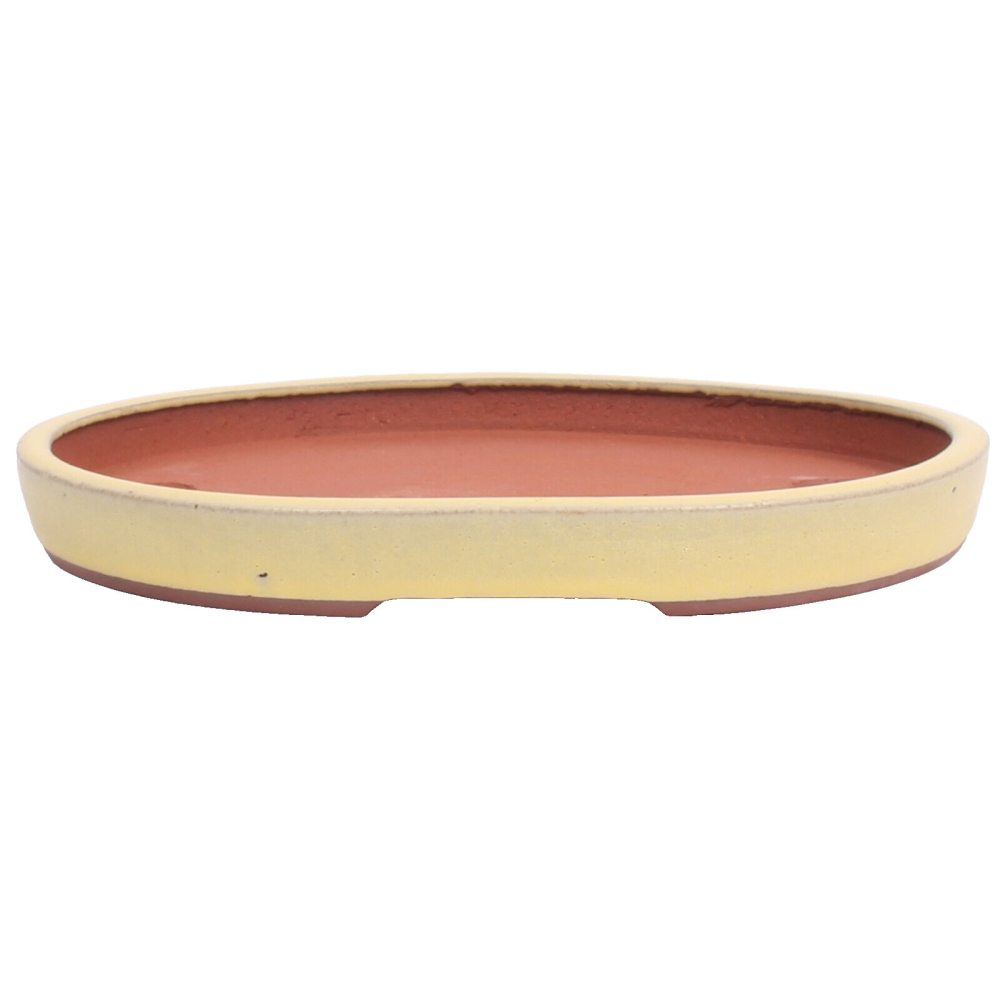 Tokoname Bonsaischale von Youzan - 27,5 x 22,5 x 3,3 cm - oval - matt gelb - 58101