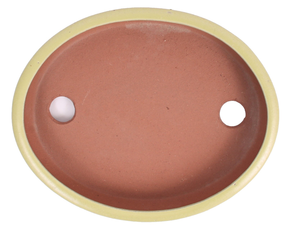 Tokoname Bonsaischale von Youzan - 31,5 x 25,5 x 5,5 cm - oval - matt gelb - 58105