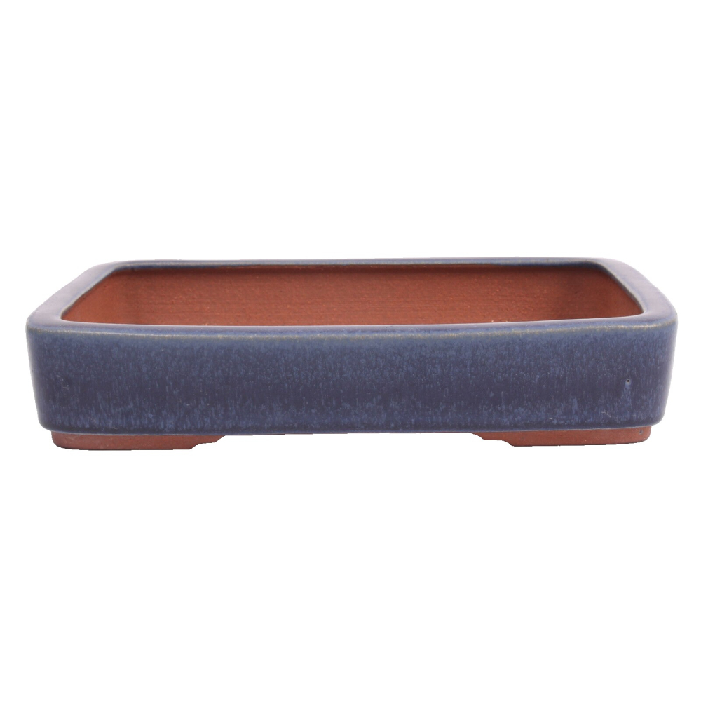 Tokoname Bonsaischale von Youzan - 31 x 23 x 6,2 cm - eckig - blau - 58118