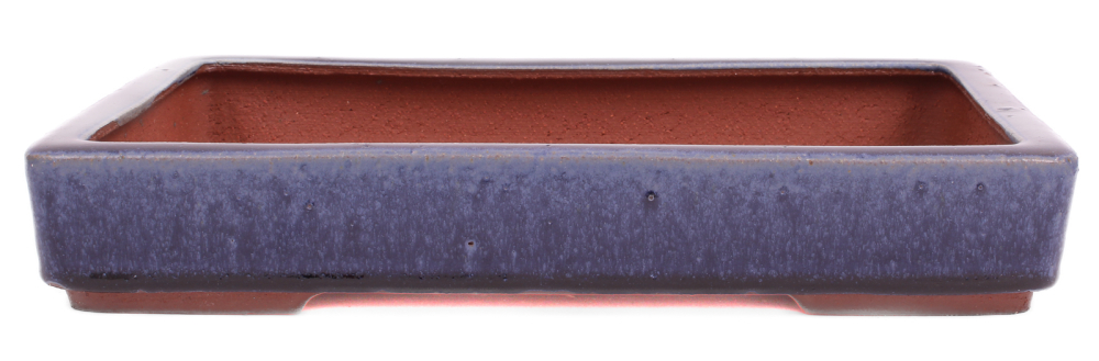 Tokoname Bonsaischale von Youzan - 30.5 x 21 x 5 cm - eckig - blau - 58134