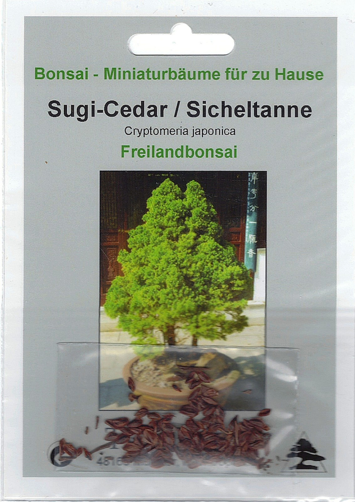 Bonsai - 100 Samen Cryptomeria japonica - Sicheltanne  90107