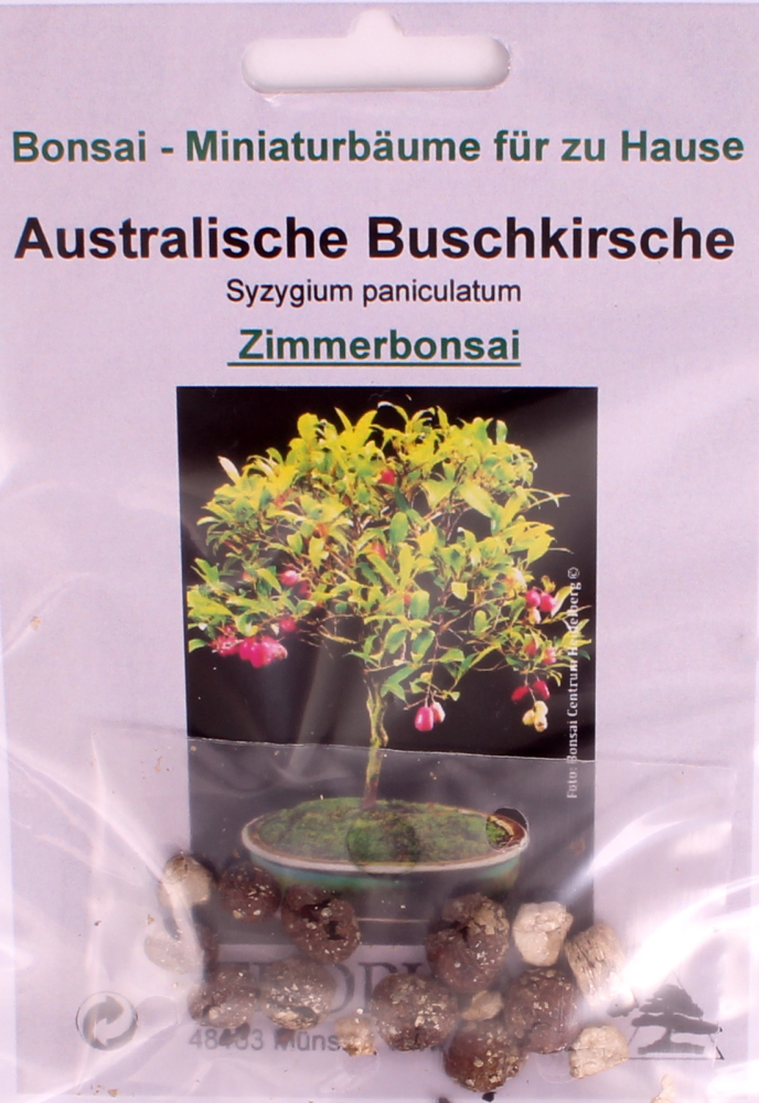 Bonsai - 8 Samen Syzygium paniculatum - Australische Buschkirsche 90119