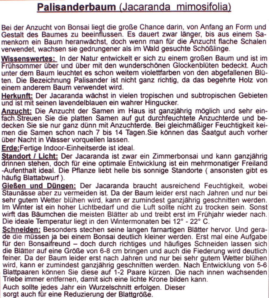 Bonsai - 50 Samen Jacaranda mimosifolia - Jacaranda / Palisanderbaum 90032