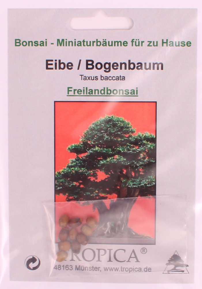 Bonsai - 10 Samen Taxus baccata - Gemeine Eibe, Europäische Eibe 90138