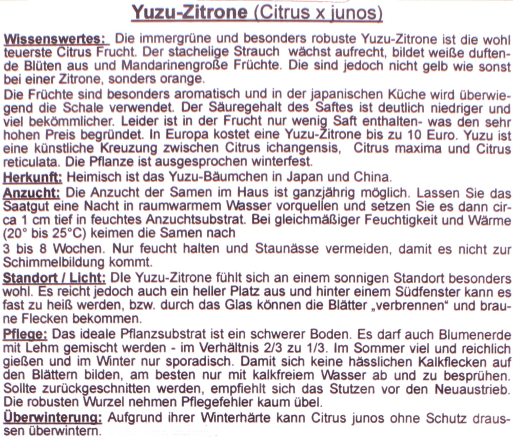 Bonsai - 4 Samen Citrus x junos - Yuzu-Zitrone 90140