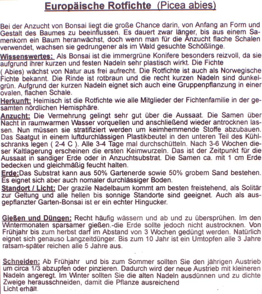 Bonsai - 25 Samen Picea abies - Europäische Rotfichte 90147