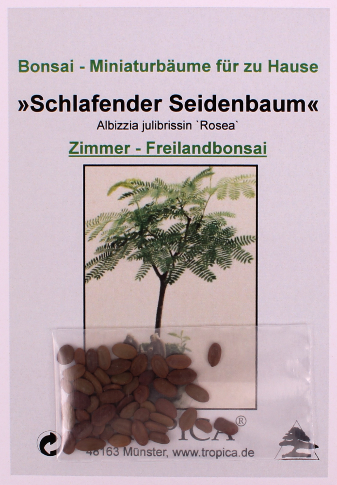 Bonsai - 50 Samen Albizzia julibrissin 'Rosea' - Schlafbaum Pink 90067