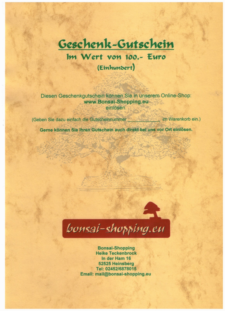 Geschenk-Gutschein  100,- Euro