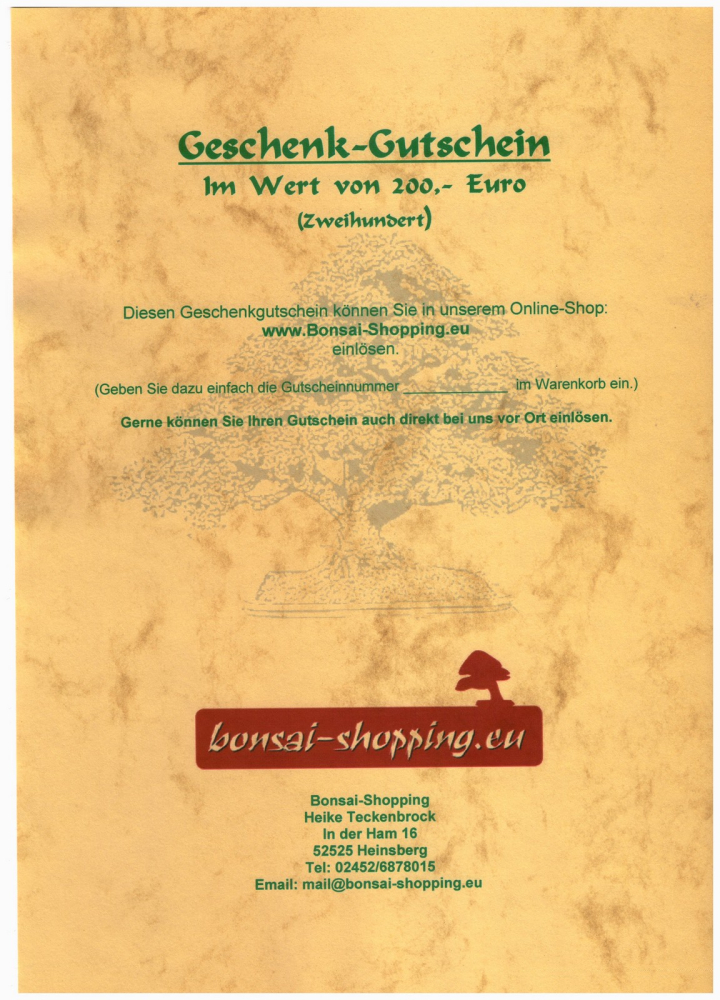 Geschenk-Gutschein  200,- Euro