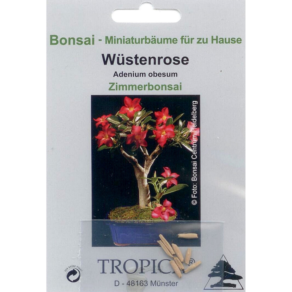 Bonsai - 8 Samen  Adenium obesum - Wüstenrose 90056