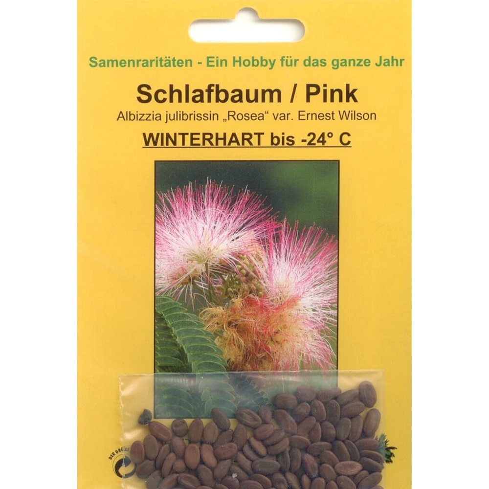 Bonsai - 50 Samen Albizzia julibrissin 'Rosea' - Schlafbaum Pink 90067