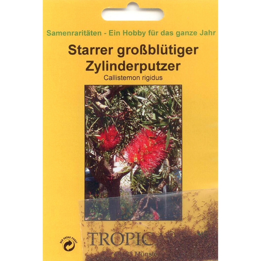Bonsai - 200 Samen Callistemon rigidus - Zylinderputzer  90070