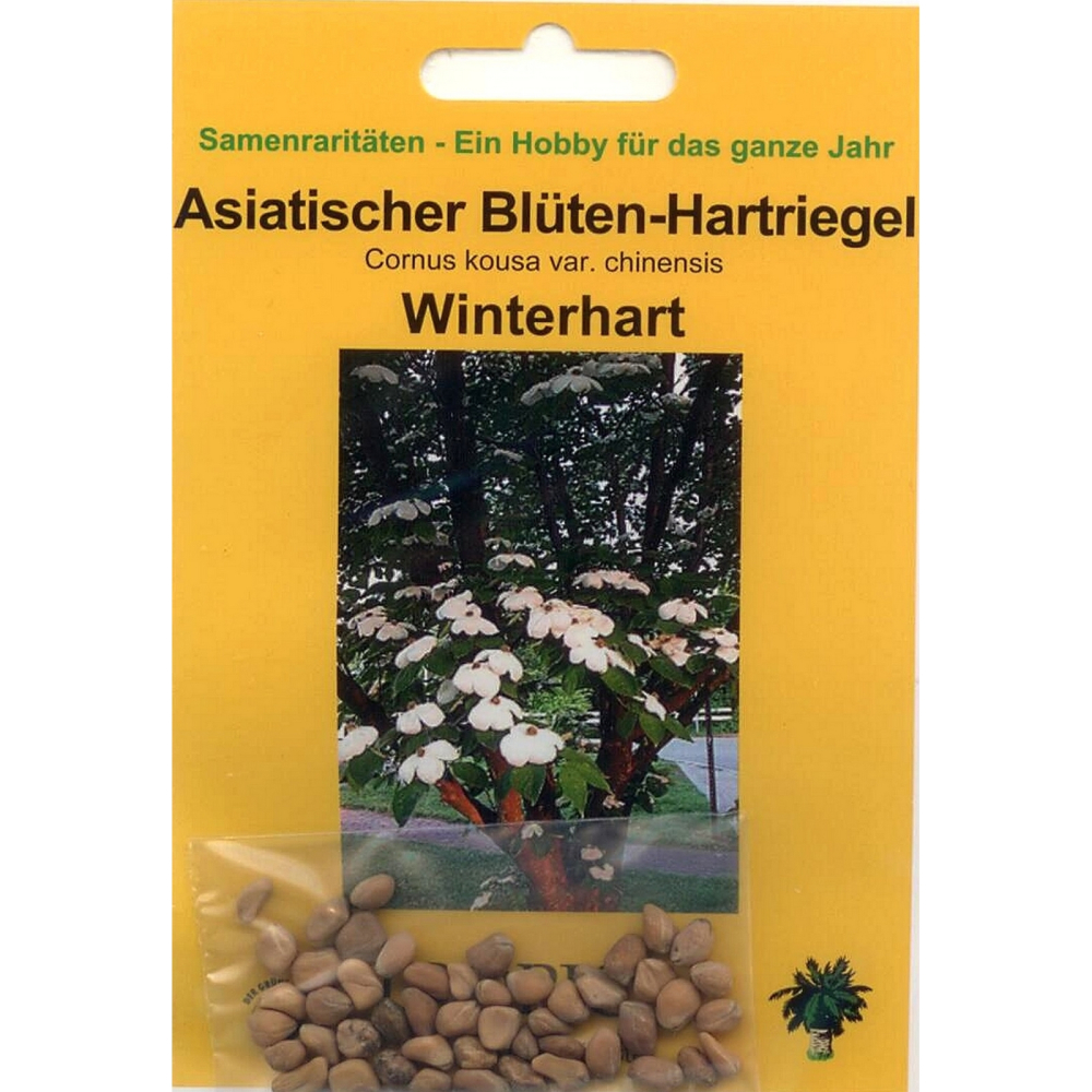Bonsai - 25 Samen Cornus kousa var. chinensis - Asiat. Blütenhartriegel 90039