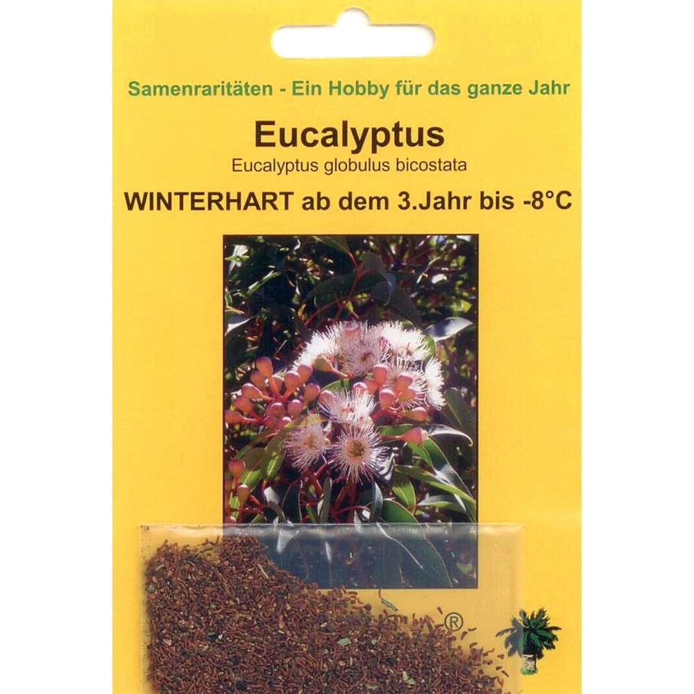 Bonsai - 200 Samen von Eucalyptus globulus bicostata, Eukalyptus, 90082