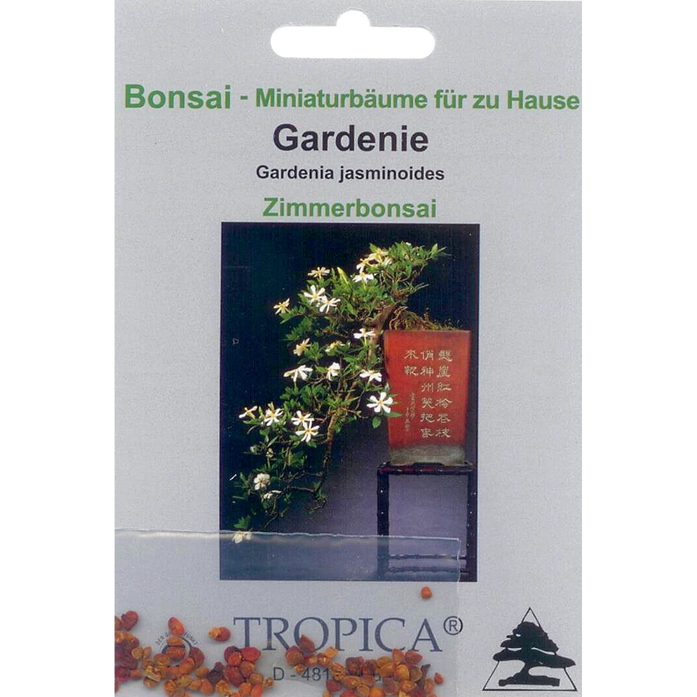 Bonsai - 30 Samen Gardenia jasminoides -  Gardenie 90027