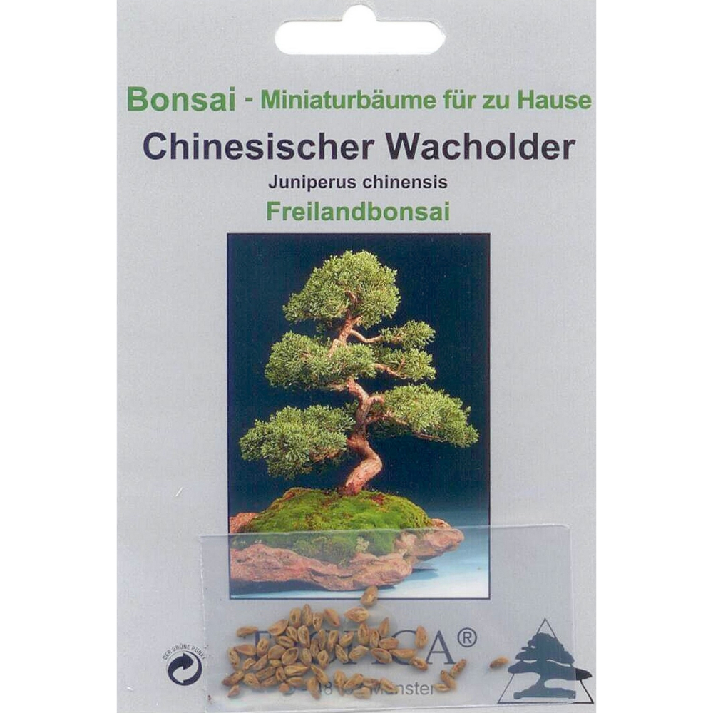 Bonsai - 15 Samen Juniperus chinensis - Chinsesischer Wacholder 90025