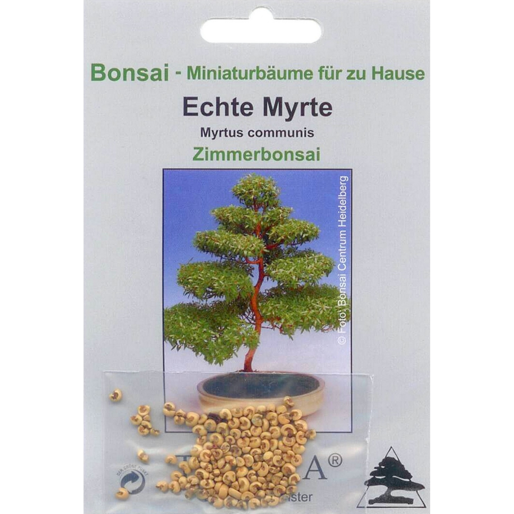 Bonsai - 30 Samen Myrtus communis - Echte Myrte weiß  90028