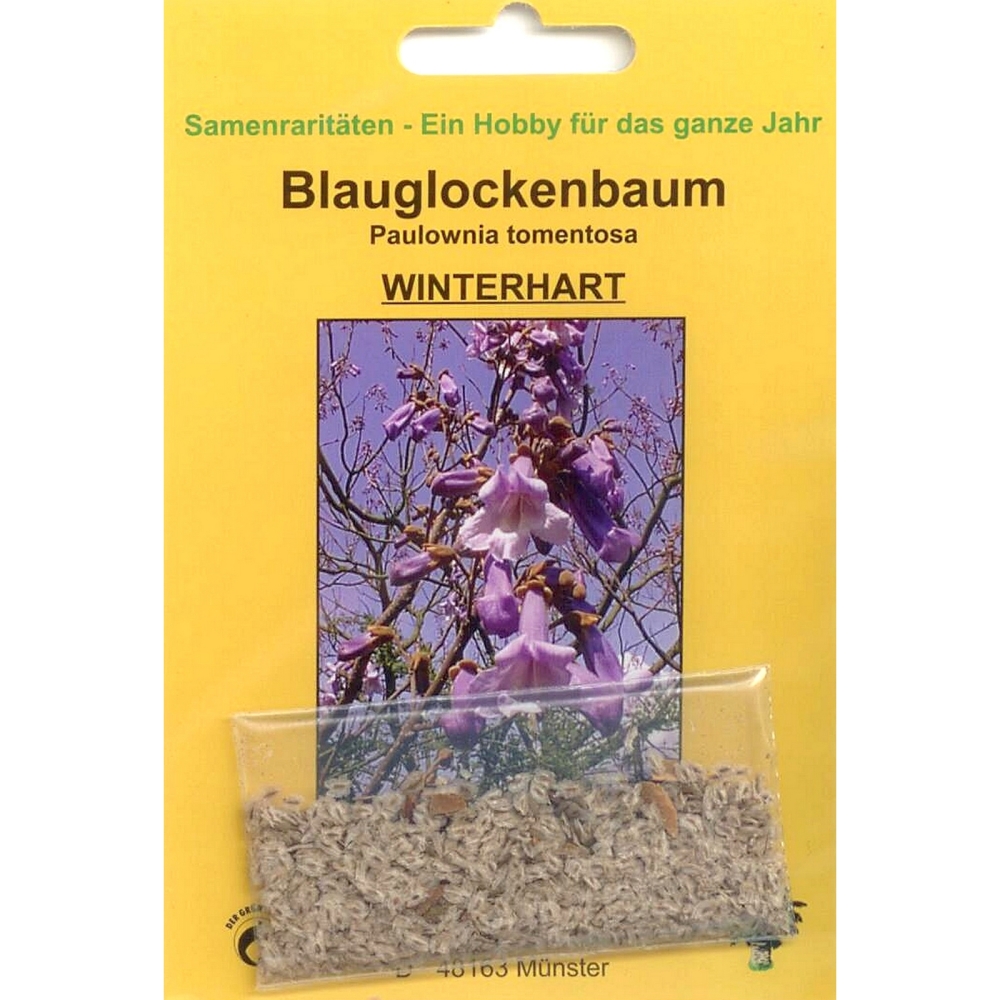 Bonsai - 200 Samen von Blauglockenbaum, Paulownia tomentosa, 90057