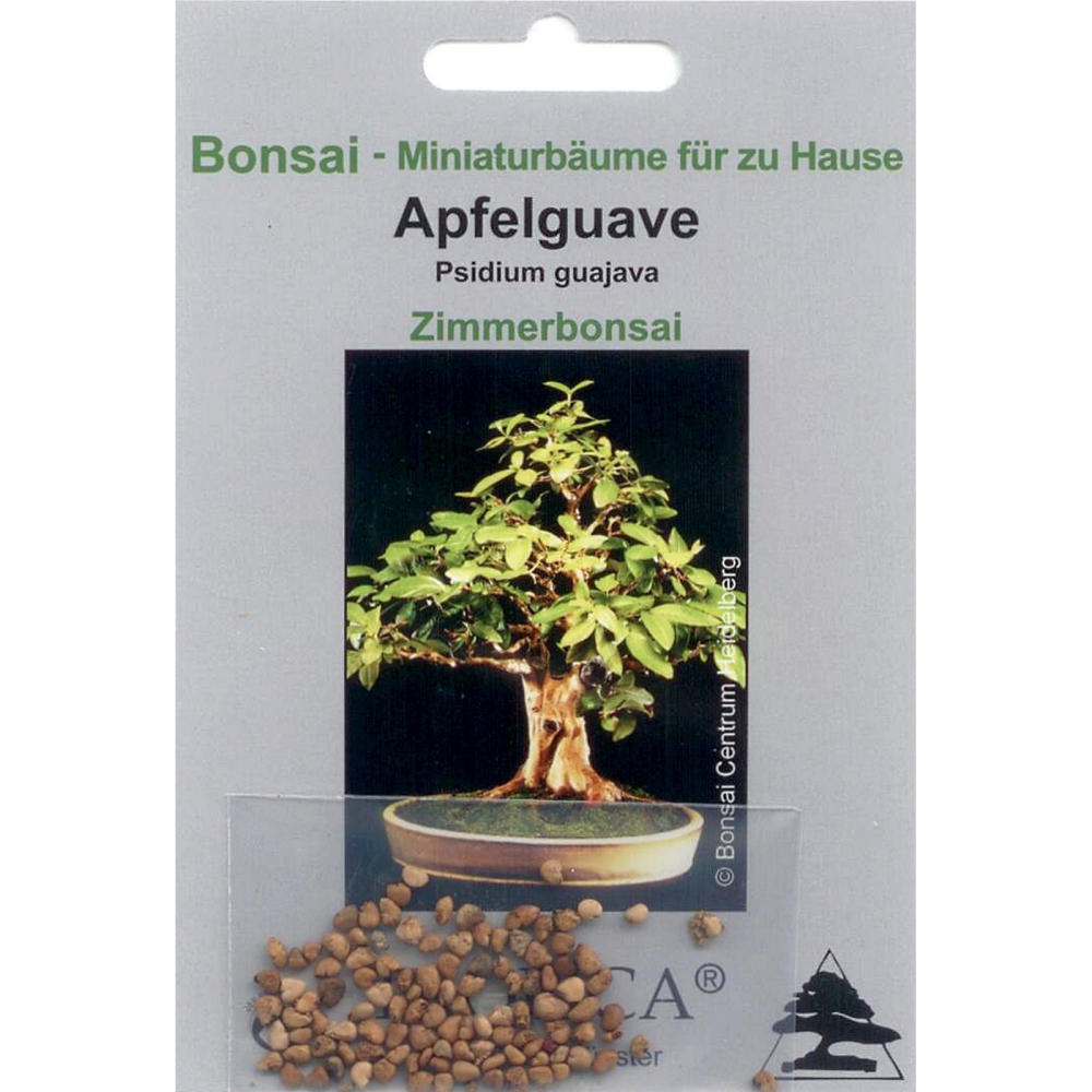 Bonsai - 50 Samen Psidium guajava - Apfelguave 90073