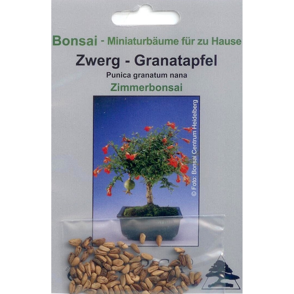 50 Samen Granatapfel Punica granatum Obstbume Essbare Bonsai-Pflanzen im... 