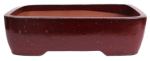 Bonsai - Schale eckig 53 x 42 x 10 cm bordeaux frostfest 40178