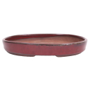 Bonsai - Schale, Waldschale, oval 21 x 15.5 x 3.5 cm bordeaux  51335