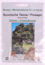Bonsai - 10 Samen Abies pinsapo - Spanische Tanne 90125